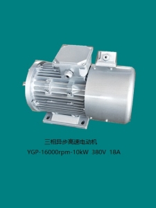 常德YGP-10kW-16000rpm 三相异步电机